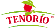 Logo Tenorio